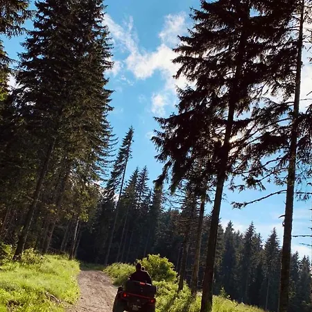 Mips Gianni P86 Milmari * Kopaonik