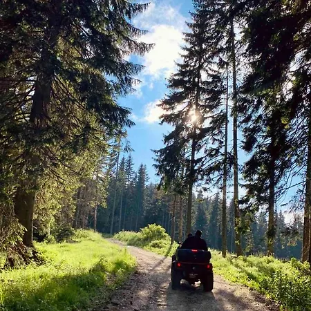 Mips Gianni P86 Milmari Kopaonik