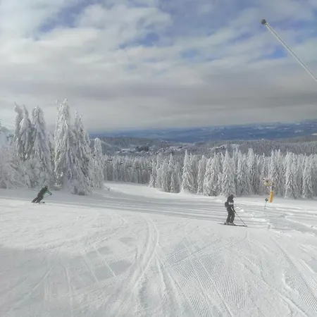 Mips Gianni P86 Milmari * Kopaonik