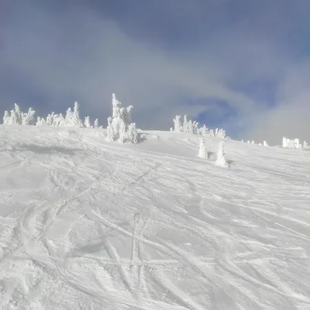 Mips Gianni P86 Milmari *